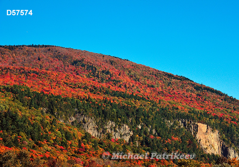 Fall colours, Cap Tourmente, Quebec, Canada